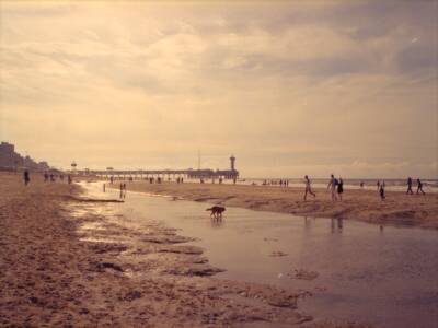 strandscheveningen.jpg