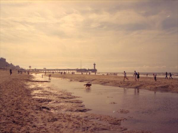 strandscheveningen.jpg